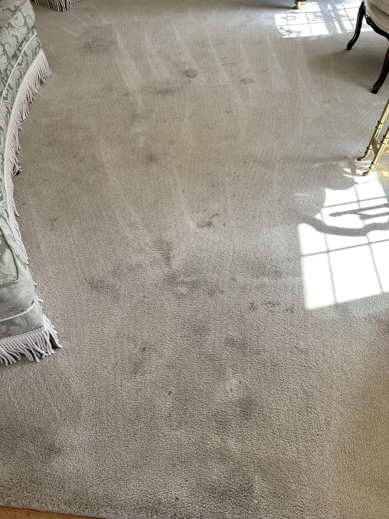 Dull, matted carpet before dry cleaning in a formal living room
