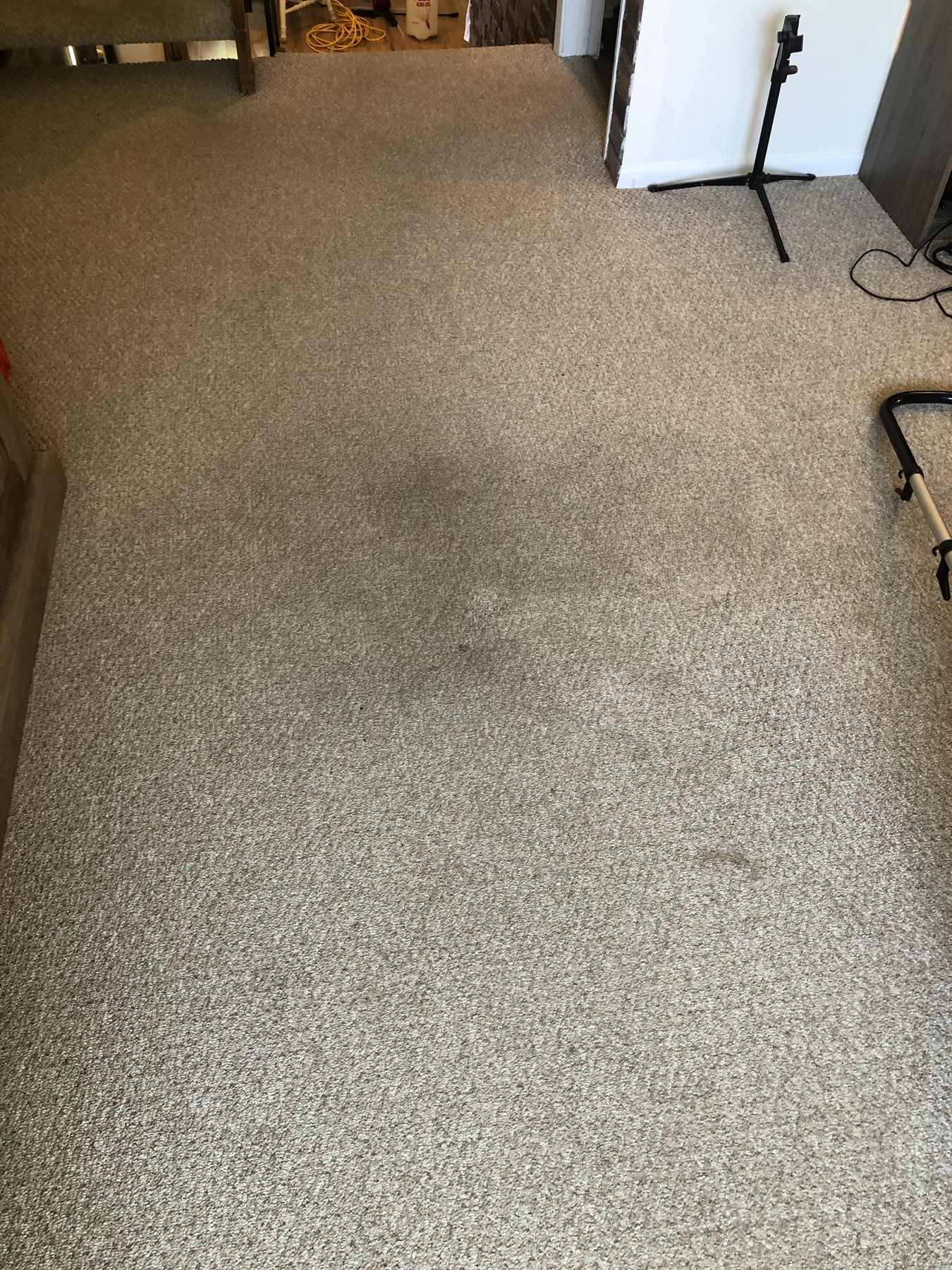 Living room carpet with visible traffic wear before cleaning