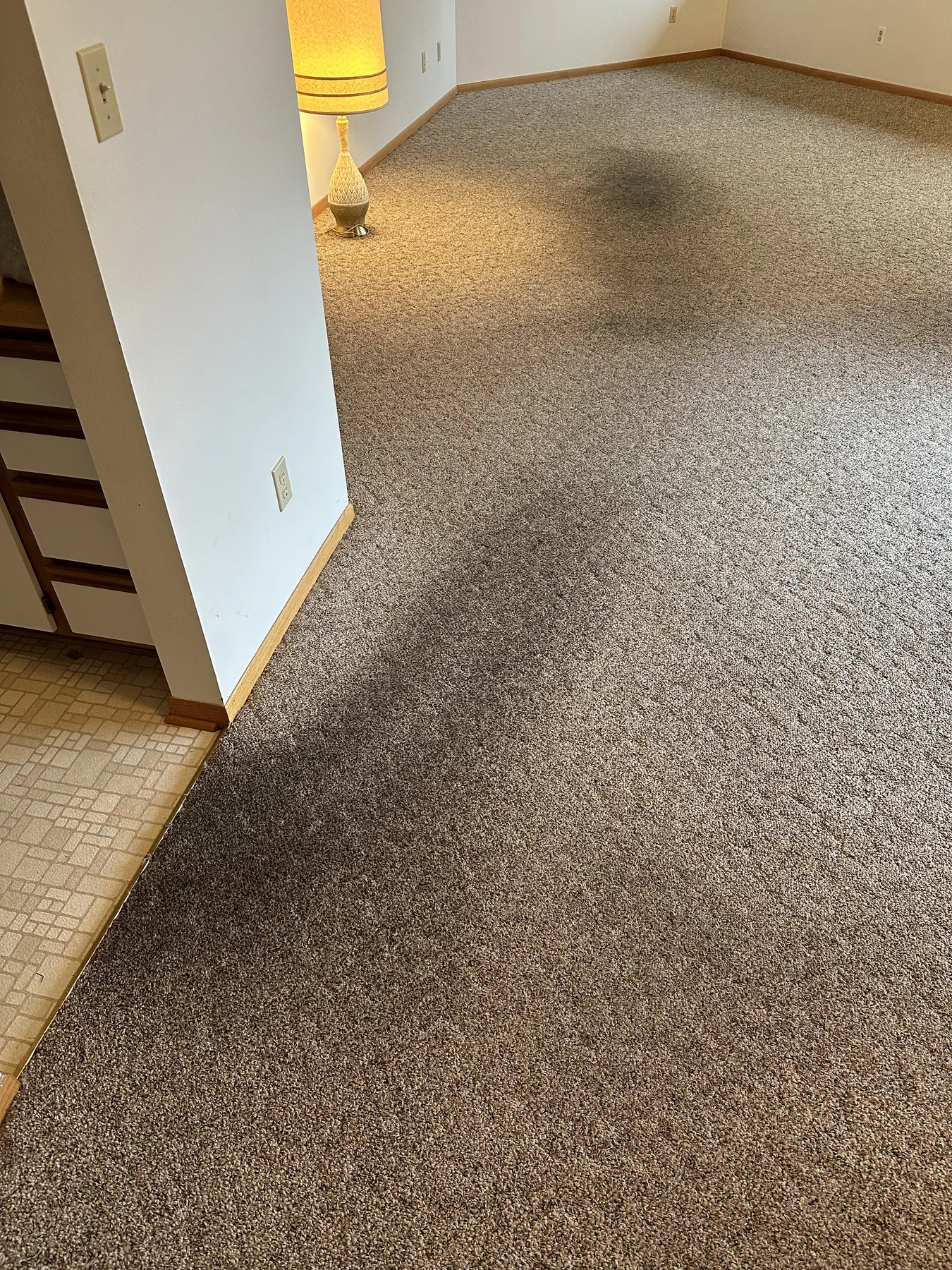 Large dark carpet stain running along a hallway before cleaning