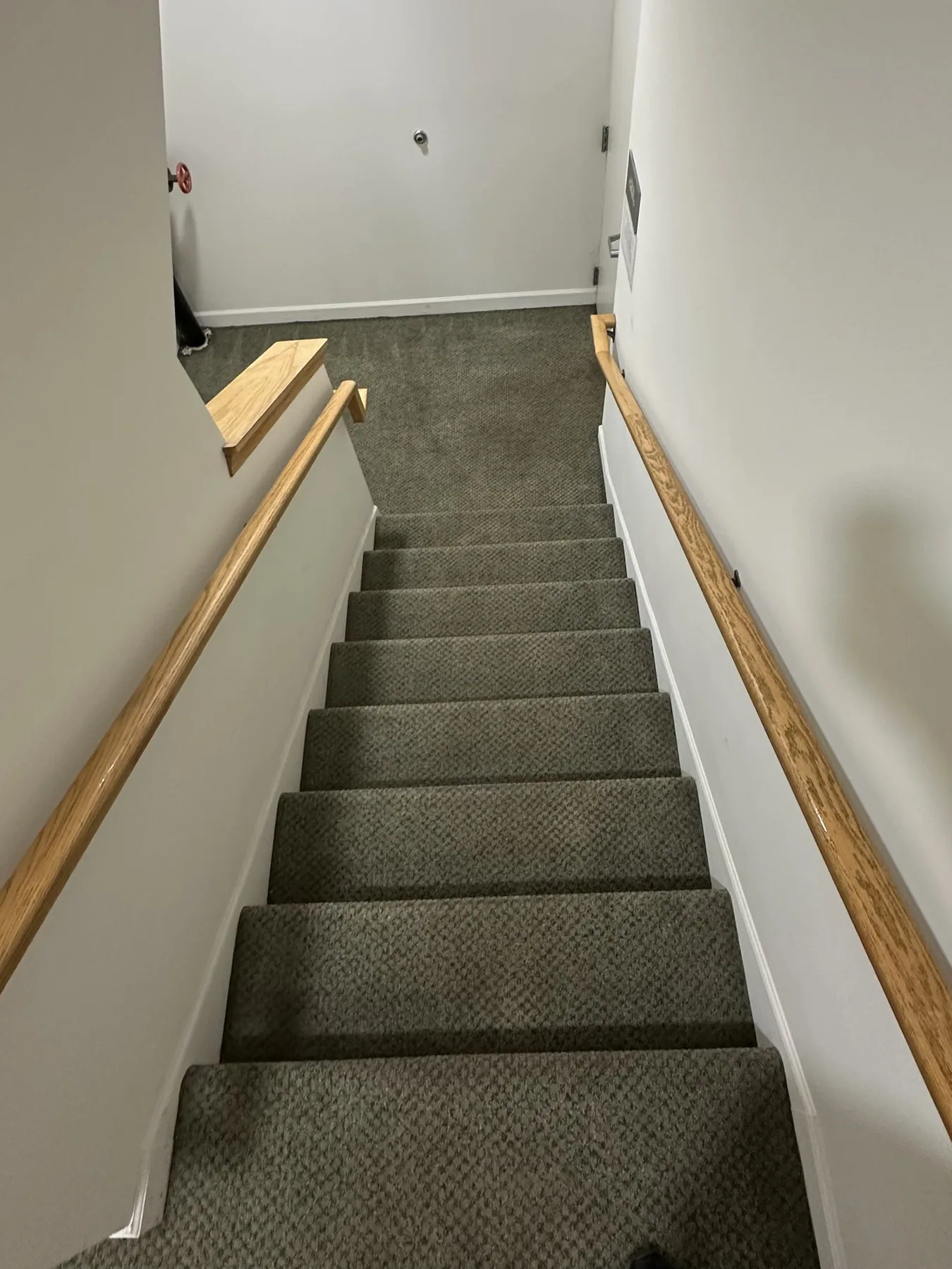 Staircase carpet cleaned with handrail, viewed from the landing