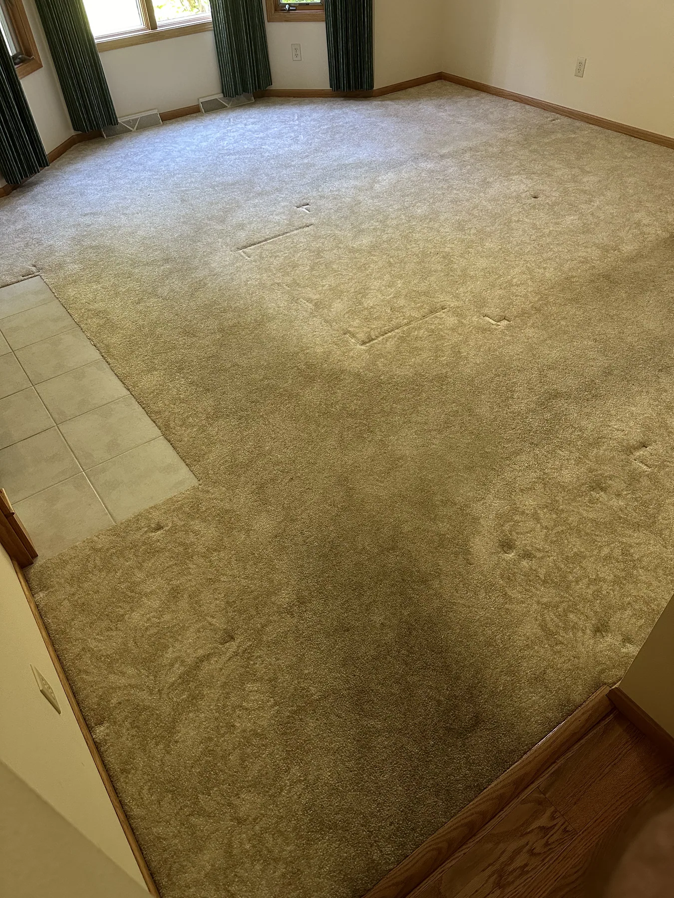 Sunroom carpet before cleaning, near a glass entry door and windows