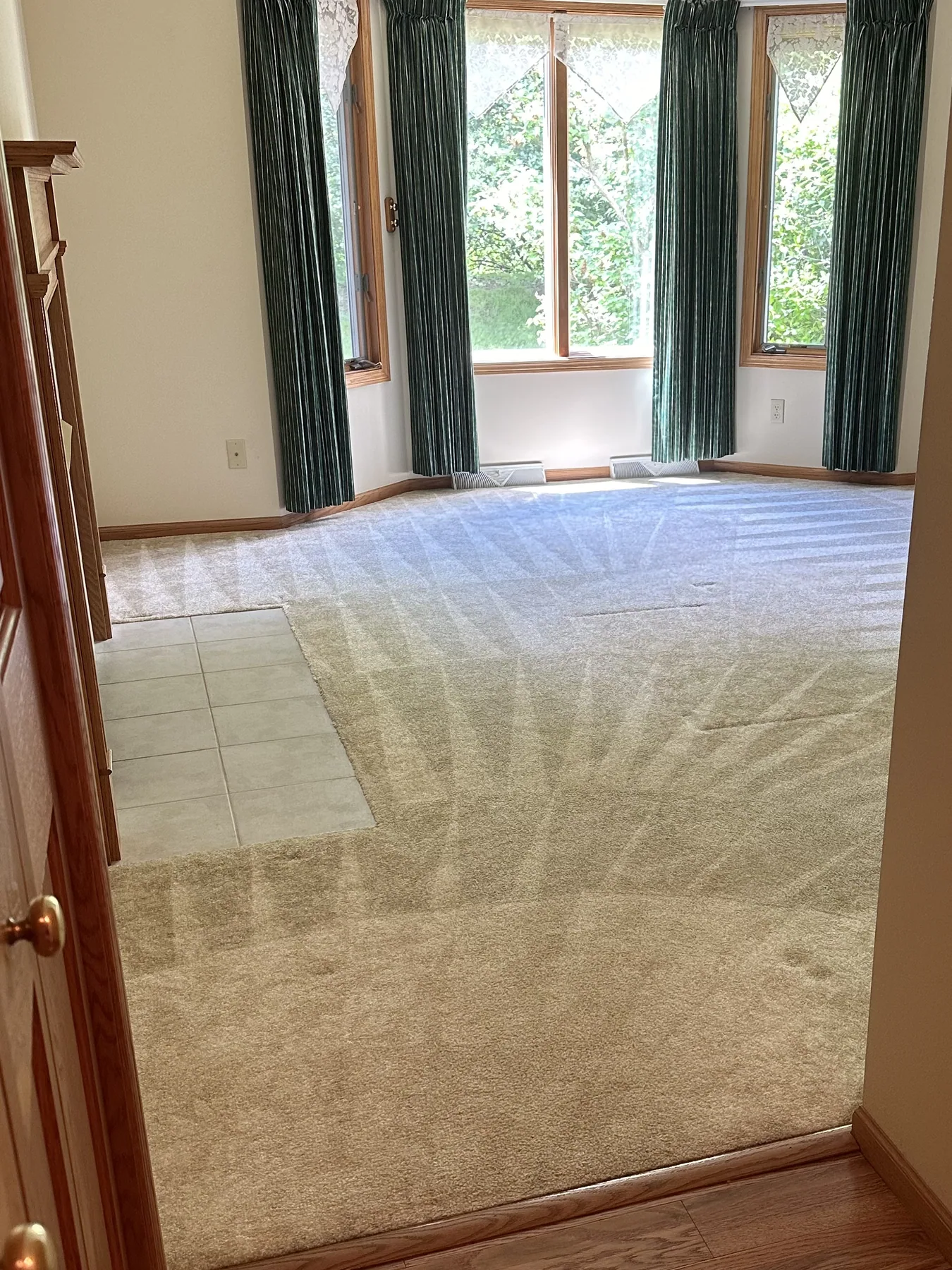 Same sunroom carpet after dry cleaning, showing the fan-pattern vacuum finish