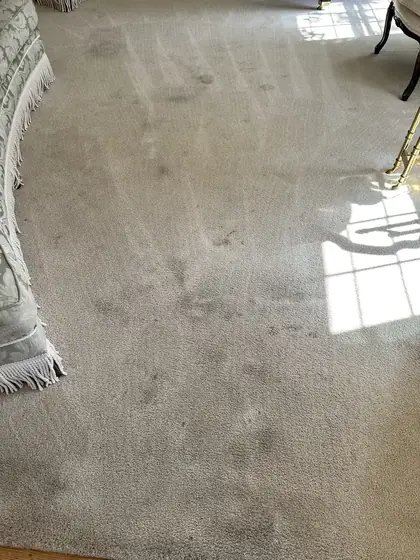 Dull matted carpet in a formal living room before liquid dry cleaning